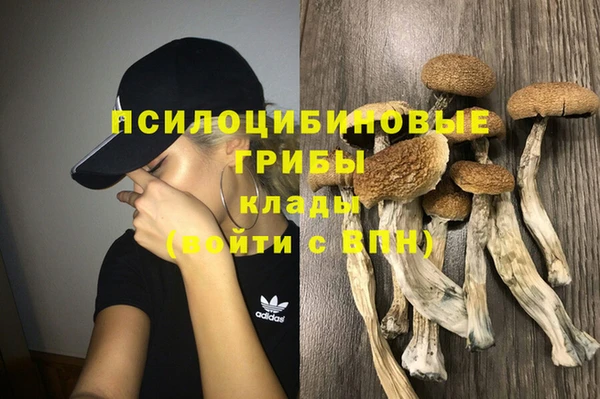 мдпв Волосово