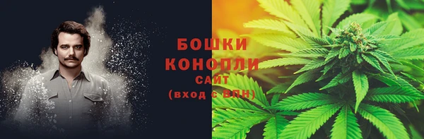 мдпв Верея