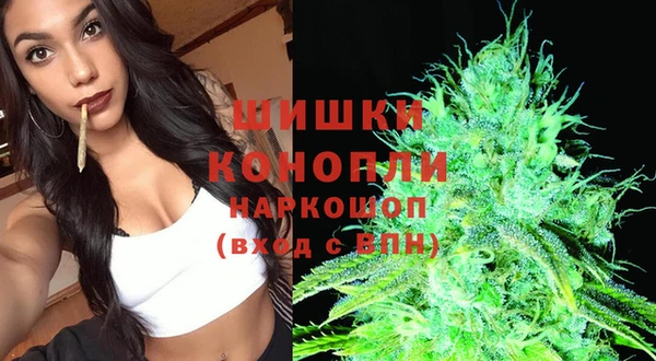 мдпв Верея