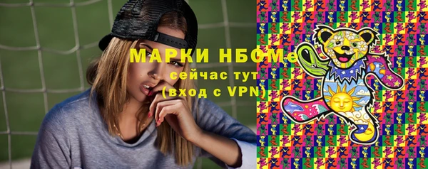мдпв Верея
